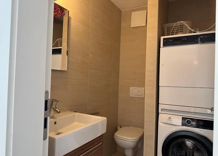 Apartment Monte Verita 1 A Ascona